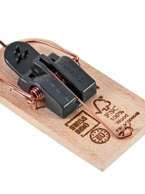 Beliebt Swissinno FSC® Holz Mausefalle » SUPERCAT « innovative Fanglösung