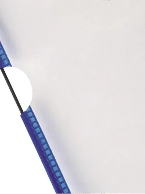 Letzte Chance TARIFOLD SAS 852585 Sichttafeln, PVC, DIN A4, farbiger Rand blau, Metall-Drehzapfen, 5 Aufsteckreiter, VE 10 Stück