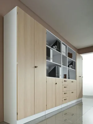 Bestseller HAMMERBACHER 1981049 Büro-Flügeltürenschrank, BxTxH 800x420x2004 mm, 5 OH, 4 Böden, Schloss, lichtgrau