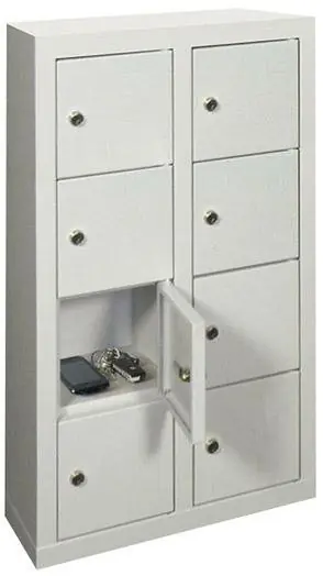 Kleinfach-Wandschrank H815xB460xT200 mm 2x4 Fächer RAL7035 Türen glatt | RAL 7035/RAL 7035 | zur Wandbefestigung | 8 | 460x200x815 mm | 160x160x170 mm | glatt | 1774296 Top-Preis