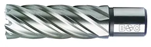 Bohrcraft Kernbohrer HSS mit Weldonschaft (3/4") 16,0 x 50 mm Schnitttiefe in Bohrcraft-QuadroPack | 50 mm | 16 mm | 50 mm | 1081828 Top-Angebot
