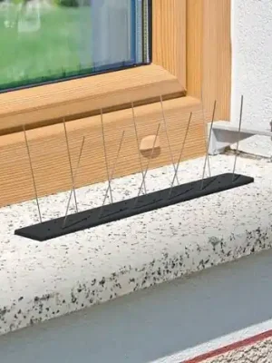 Solange Der Vorrat Reicht Vogel- und Taubenabwehr Starter Set Schutz b.1 mit 36 Spikes Kunststoff WINDHAGER, Menge 6 Stk