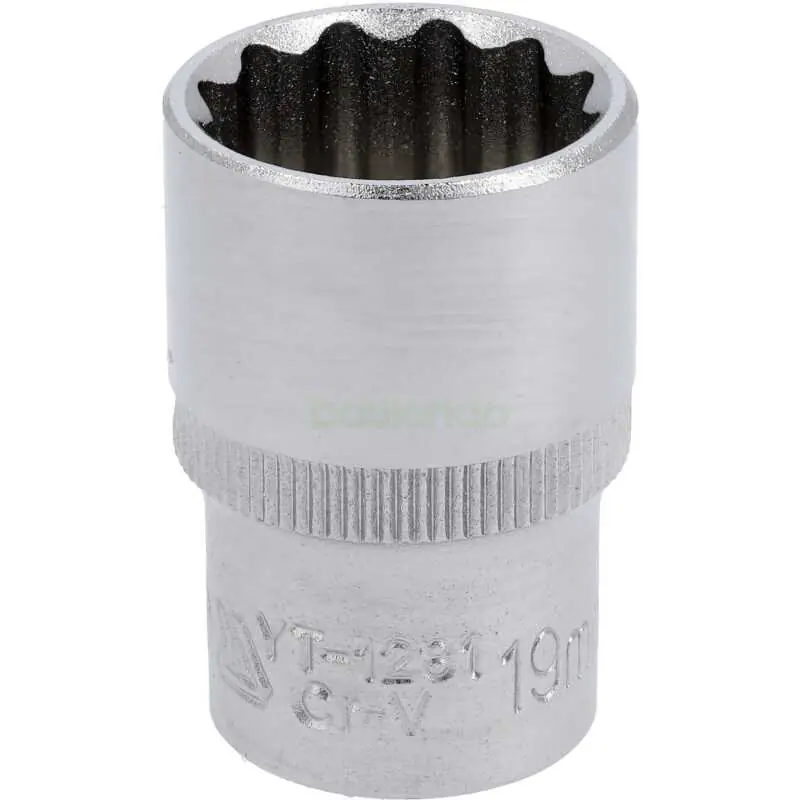 Nur Für Kurze Zeit Kurze 19 mm 1/2" Zwölfkant-Stecknuss CRV